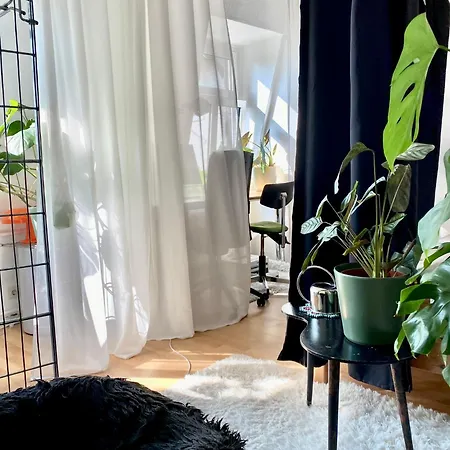 Cosy Sunset Flat - Kongress Palais & Herkules View