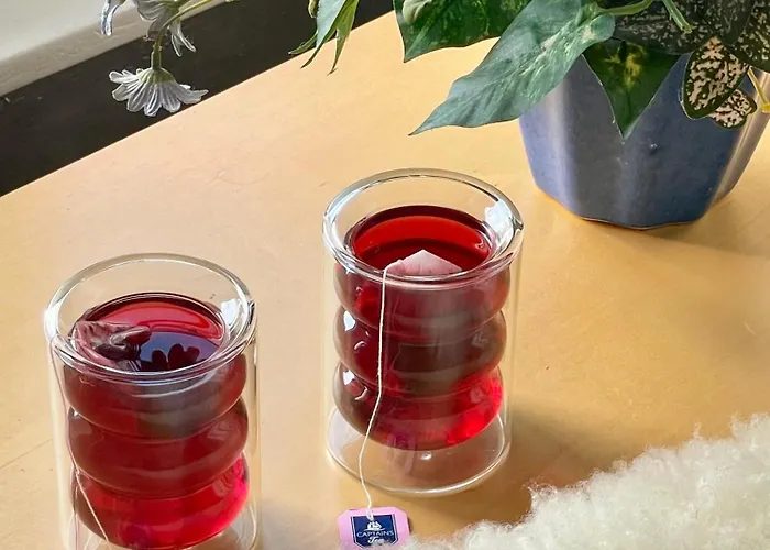 Cosy Sunset Flat - Kongress Palais & Herkules View Apartment Kassel